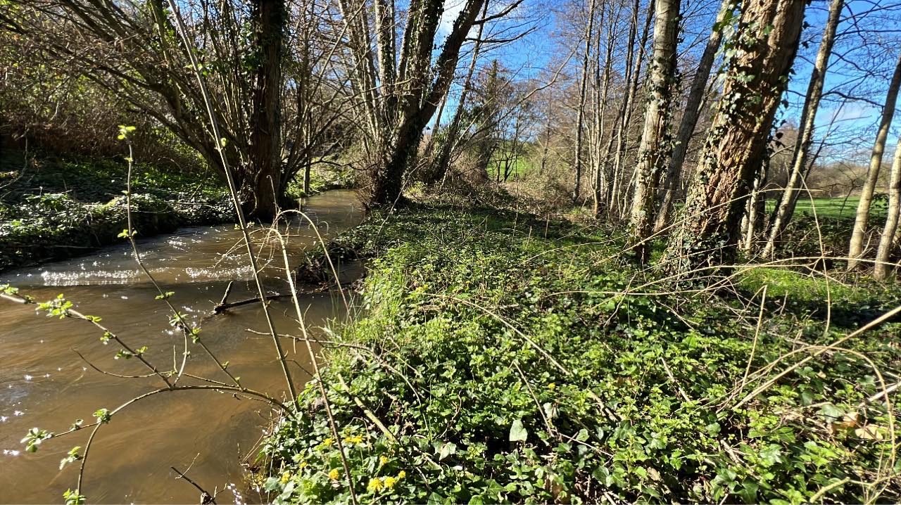 La Parbrunière — Préservation des zones humides et reconstitution du couvert végétal